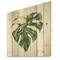 Designart - Tropical Green Leaves In Summer Times III - Tropical Print on Natural Pine Wood